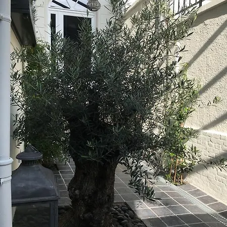 Appartement Le Dix-huit Duplex