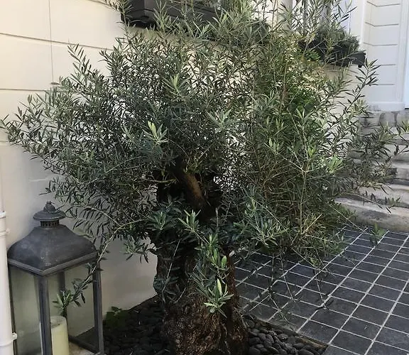 Appartamento Le Dix-huit Duplex Rouen